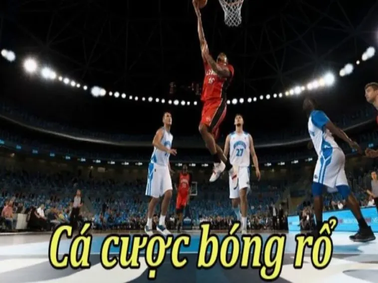 Tìm Hiểu Cá Cược Bóng Rổ DAGA Sôi Động Và Hấp Dẫn 2 Tìm Hiểu Cá Cược Bóng Rổ DAGA Sôi Động Và Hấp Dẫn