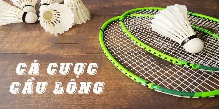 Cách Chơi Cá Cược Cầu Lông DAGA: Bí Kíp Thắng Lớn Với Vợt Ảo 2 Cách Chơi Cá Cược Cầu Lông DAGA: Bí Kíp Thắng Lớn Với Vợt Ảo