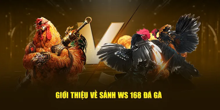 Cách Chơi Đá Gà WS168 Tại DAGA: Hướng Dẫn Vui Vẻ Cho Tân Thủ 2 Cách Chơi Đá Gà WS168 Tại DAGA: Hướng Dẫn Vui Vẻ Cho Tân Thủ